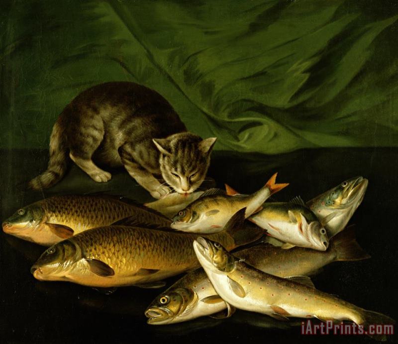 A Cat with Trout Perch and Carp on a Ledge painting - Stephen Elmer A Cat with Trout Perch and Carp on a Ledge Art Print
