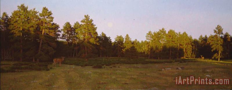 Stephen Gjertson Moonrise Over The Meadow Art Painting