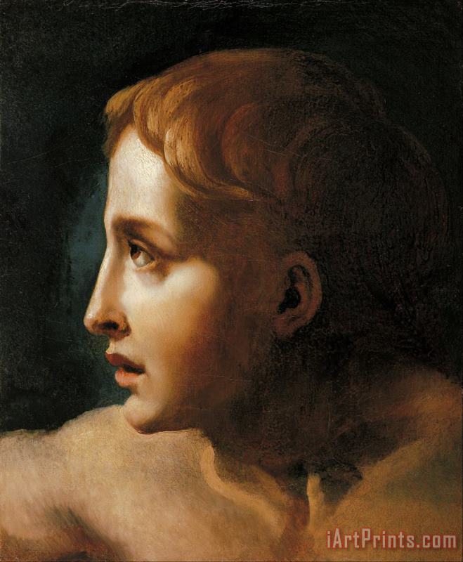 Head of a Youth painting - Theodore Gericault Head of a Youth Art Print