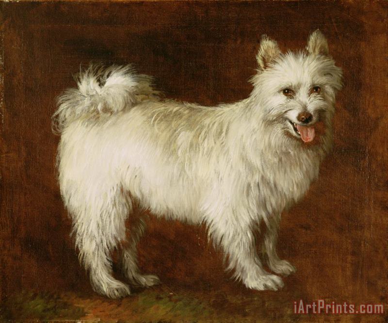 Thomas Gainsborough Spitz Dog Art Painting