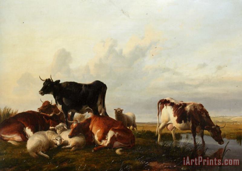Cattle And Sheep Probably in Canterbury Meadows painting - Thomas Sidney Cooper Cattle And Sheep Probably in Canterbury Meadows Art Print