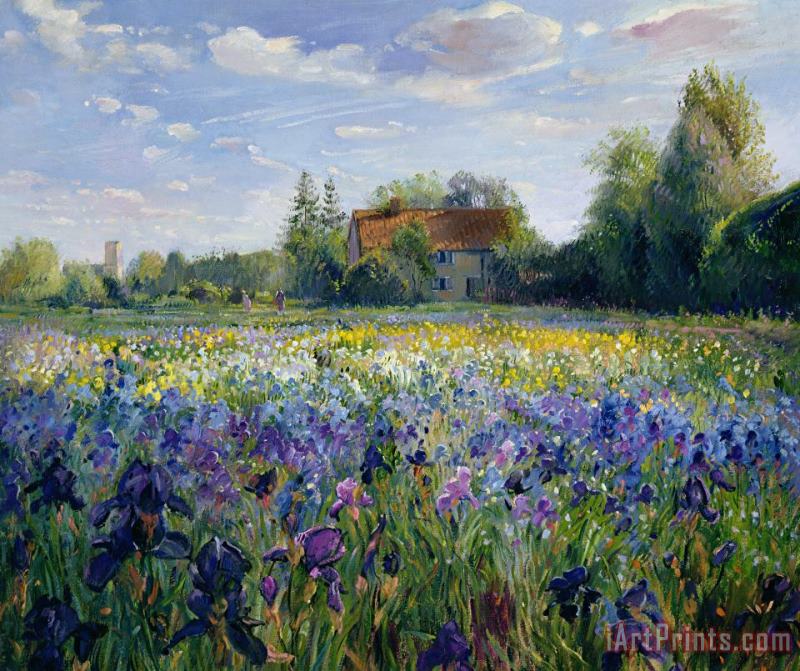 Timothy Easton Evening at the Iris Field Art Painting