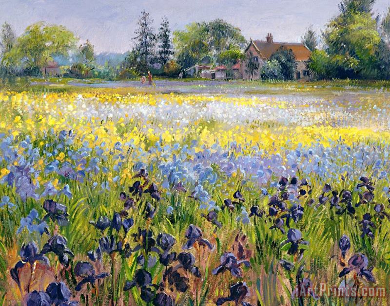 Timothy Easton Irises and Two Fir Trees Art Painting