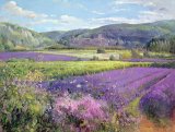 Timothy Easton - Lavender Fields in Old Provence painting