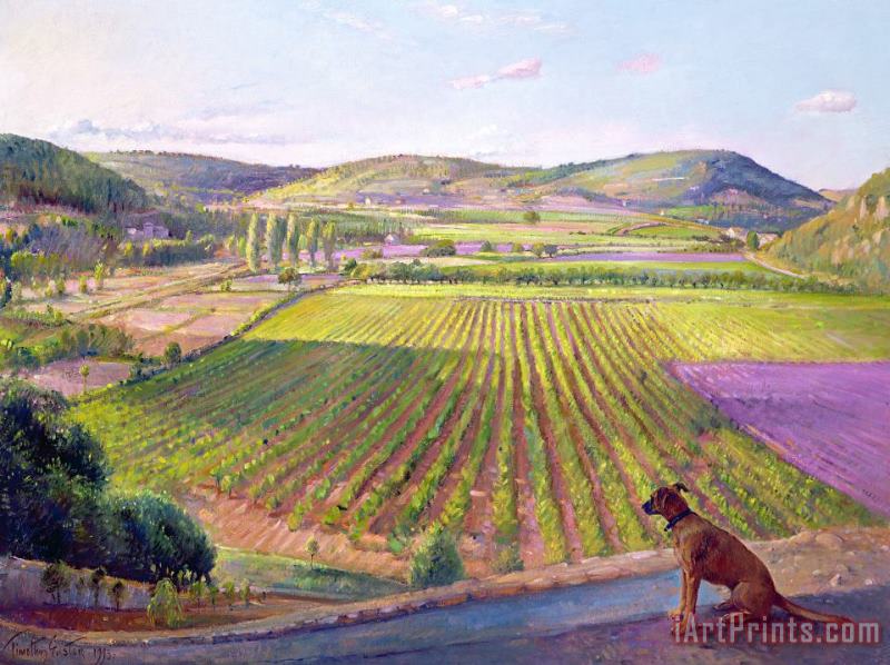 Watching From The Walls Old Provence painting - Timothy Easton Watching From The Walls Old Provence Art Print