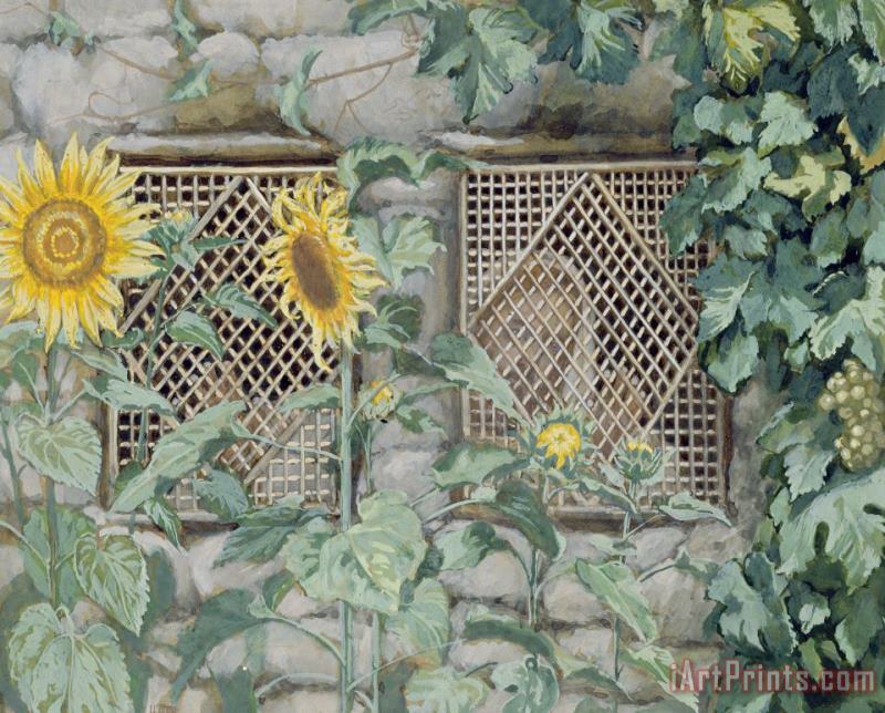 Tissot Jesus Looking through a Lattice with Sunflowers Art Print