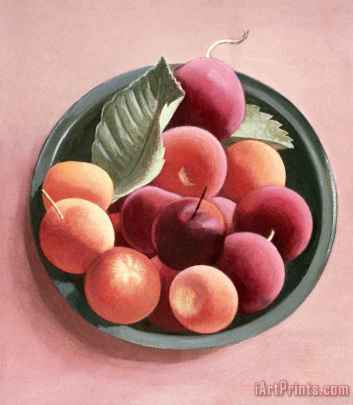 Bowl Of Fruit painting - Tomar Levine Bowl Of Fruit Art Print