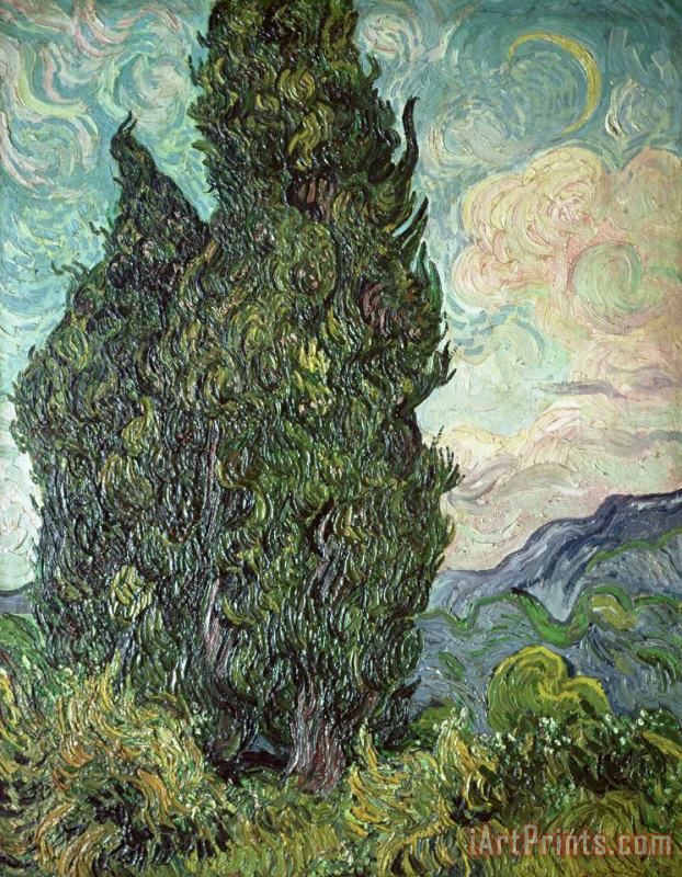 Vincent Van Gogh Cypresses Art Painting
