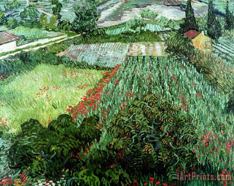 Vincent Van Gogh Field with Poppies Art Painting