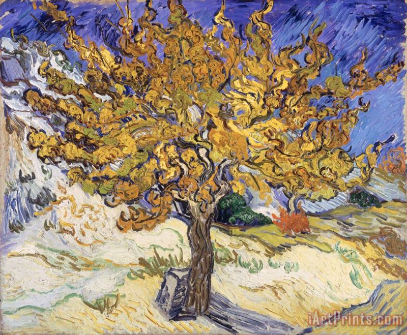 Vincent Van Gogh Mulberry Tree Art Painting