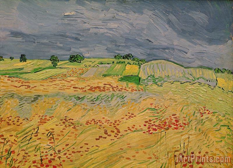 Plain At Auvers painting - Vincent van Gogh Plain At Auvers Art Print