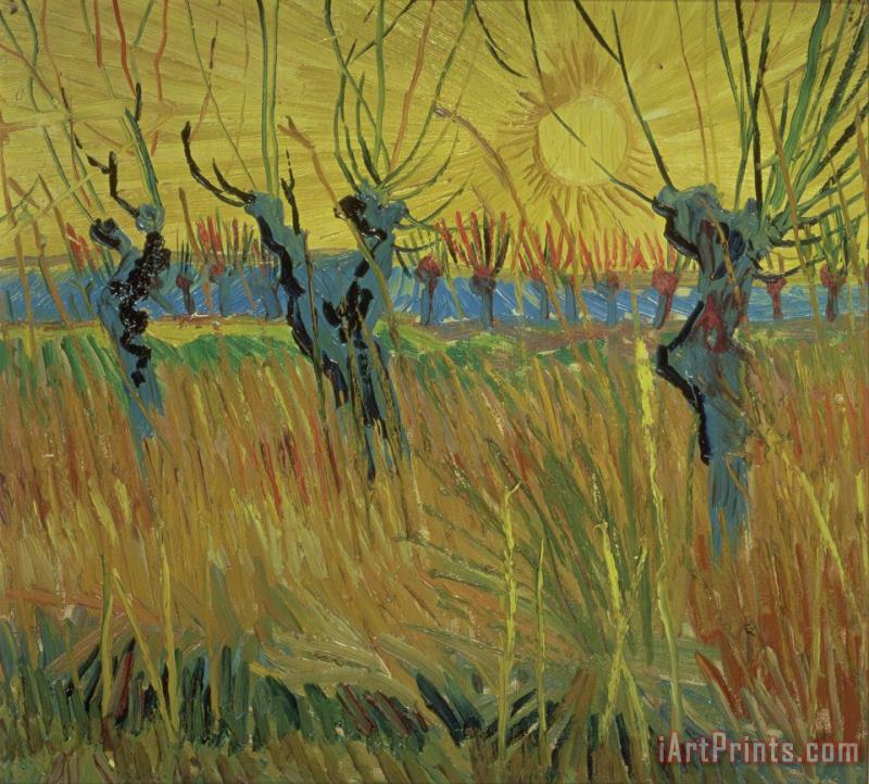 Pollarded Willows and Setting Sun painting - Vincent Van Gogh Pollarded Willows and Setting Sun Art Print