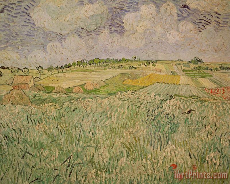 The Plain At Auvers painting - Vincent van Gogh The Plain At Auvers Art Print