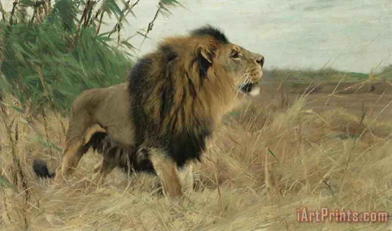Berber Lion painting - Wilhelm Kuhnert Berber Lion Art Print