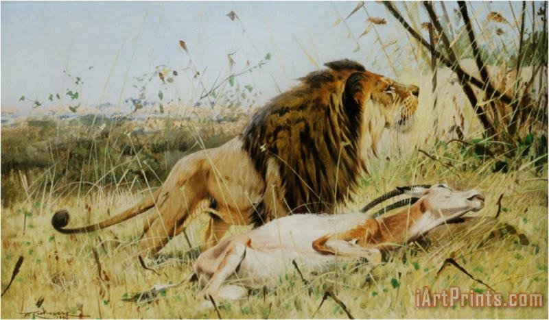 Wilhelm Kuhnert Lion And His Prey Art Painting