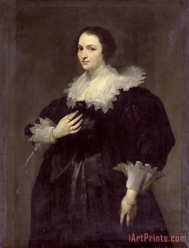 The Wife of Sebastiaan Leerse painting - Willem Bartel van der Kooi The Wife of Sebastiaan Leerse Art Print