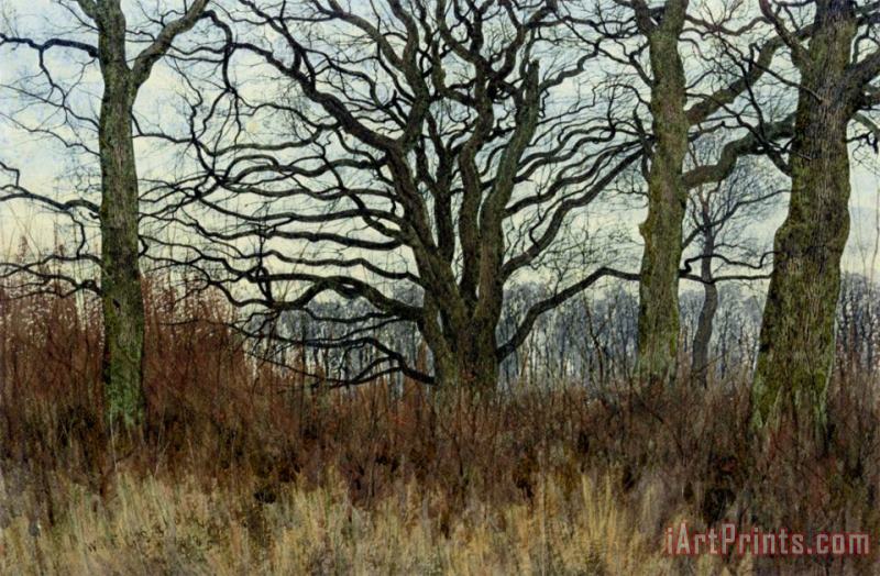 Woodland Scene at Twilight painting - William Fraser Garden Woodland Scene at Twilight Art Print