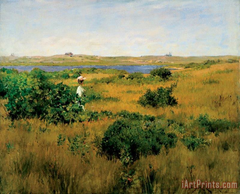 Summer at Shinnecock Hills painting - William Merritt Chase Summer at Shinnecock Hills Art Print