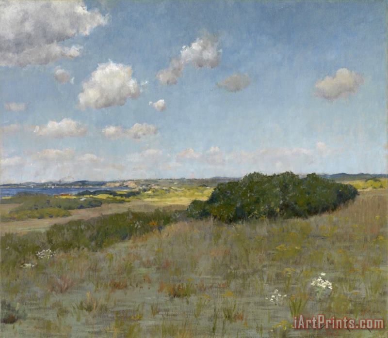 William Merritt Chase Sunlight And Shadow, Shinnecock Hills, C. 1895 Art Painting