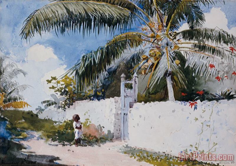 Winslow Homer A Garden in Nassau Art Painting