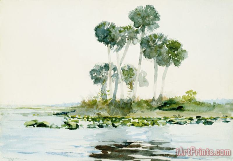 St. Johns River, Florida painting - Winslow Homer St. Johns River, Florida Art Print