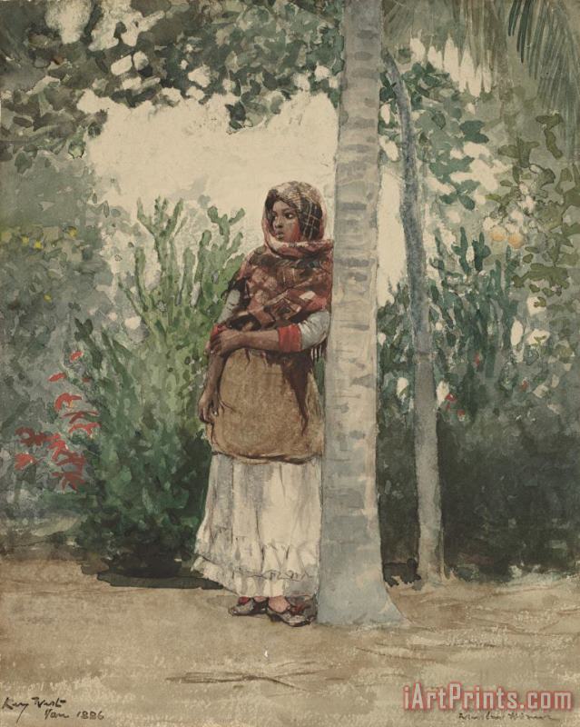 Winslow Homer Under a Palm Tree Art Painting