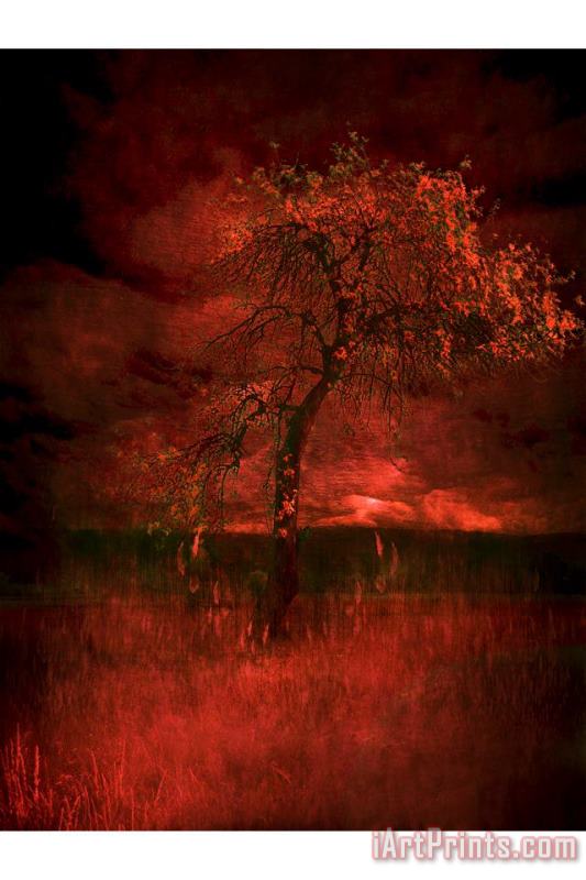 Bloody tree painting - Zygmunt Kozimor Bloody tree Art Print