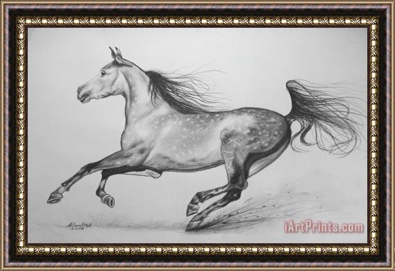 Agris Rautins Galloping horse Framed Print