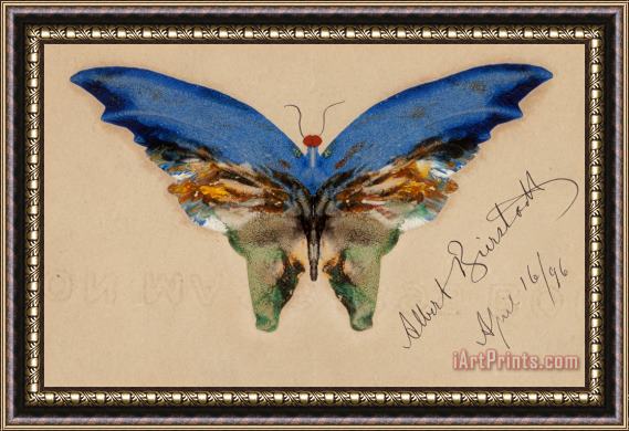 Albert Bierstadt Blue Butterfly, 1896 Framed Print
