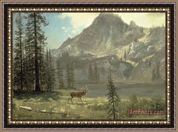 Albert Bierstadt Call of the Wild Framed Painting