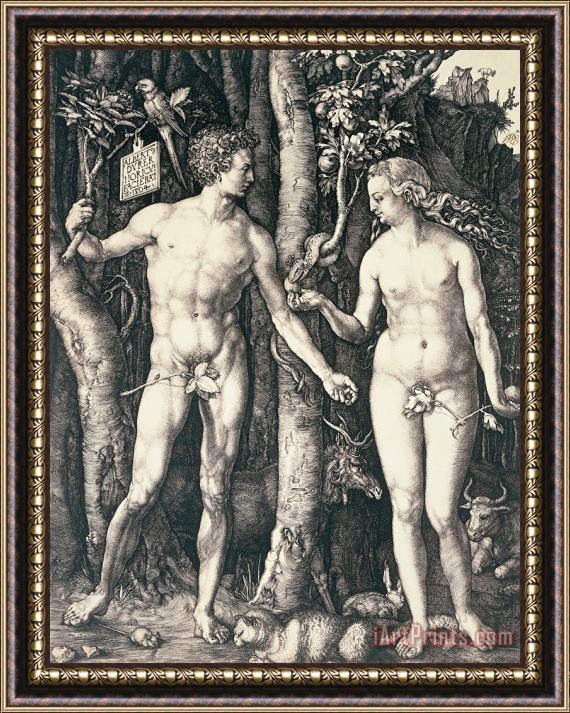 Albrecht Durer Adam And Eve 2 Framed Painting