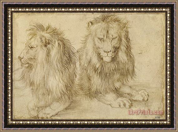 Albrecht Durer Two Seated Lions Framed Painting
