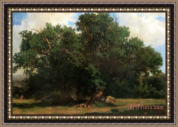 Alexandre Calame Oak Trees Framed Print