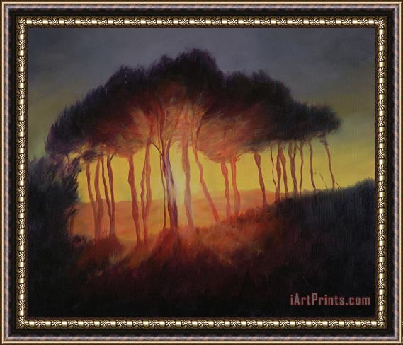Antonia Myatt Wild Trees at Sunset Framed Painting