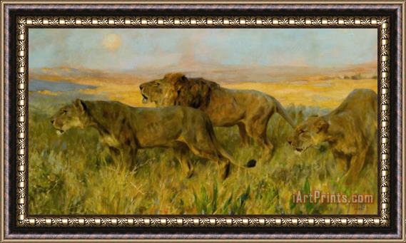 Arthur Wardle Lions Sunset Framed Painting