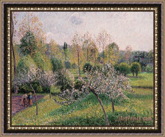 Camille Pissarro Apple Trees In Blossom Framed Painting