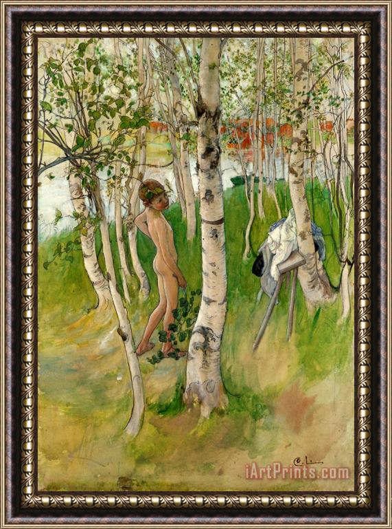 Carl Larsson Nude Boy Among Birches Framed Painting