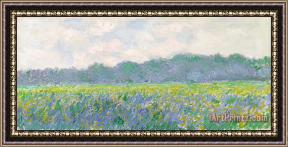 Claude Monet Field of Yellow Irises at Giverny Framed Painting