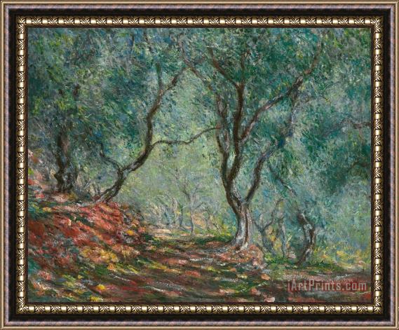 Claude Monet Olive Trees in the Moreno Garden Framed Painting