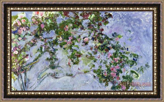 Claude Monet The Roses Framed Print