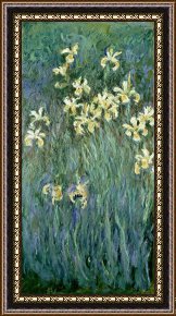 Yellow Framed Paintings - The Yellow Irises by Claude Monet