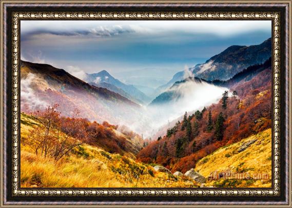 Collection 12 Central Balkan National Park Framed Painting