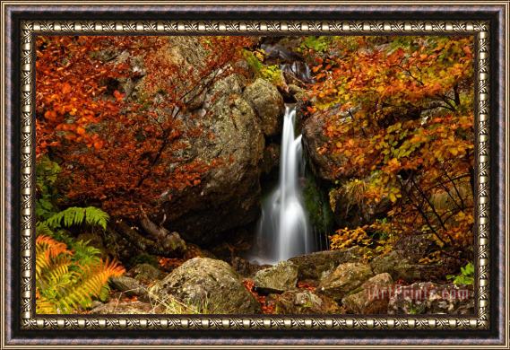Collection 12 Fairy Fall Framed Painting