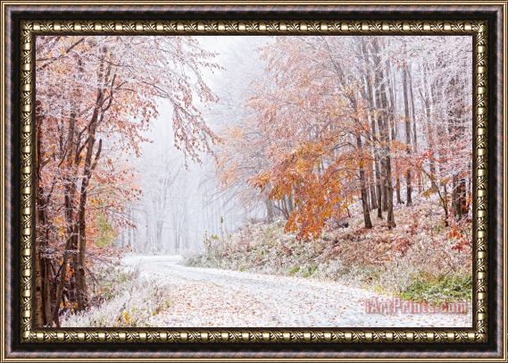 Collection 12 Frozen Road in Frosted Forest Framed Print