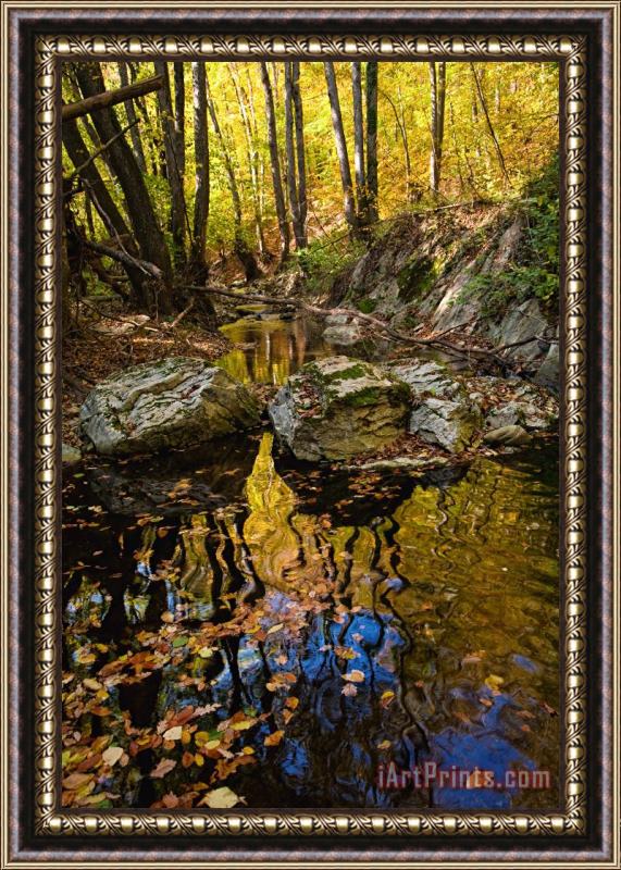 Collection 12 Golden Reflections Framed Painting