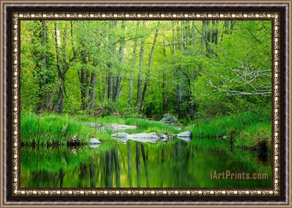 Collection 12 Green Strandzha Framed Painting