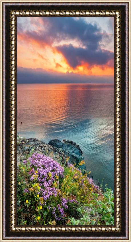 Collection 12 Wild Thyme by the Sea Framed Print