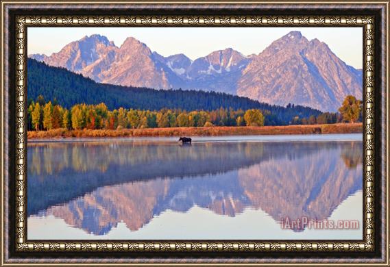 Collection 14 Grand Reflections Framed Painting