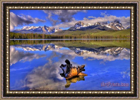 Collection 14 Reflections Framed Print