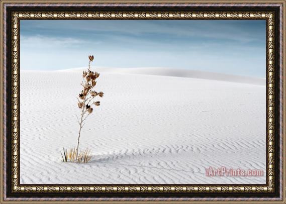 Collection 6 White Sands Framed Print